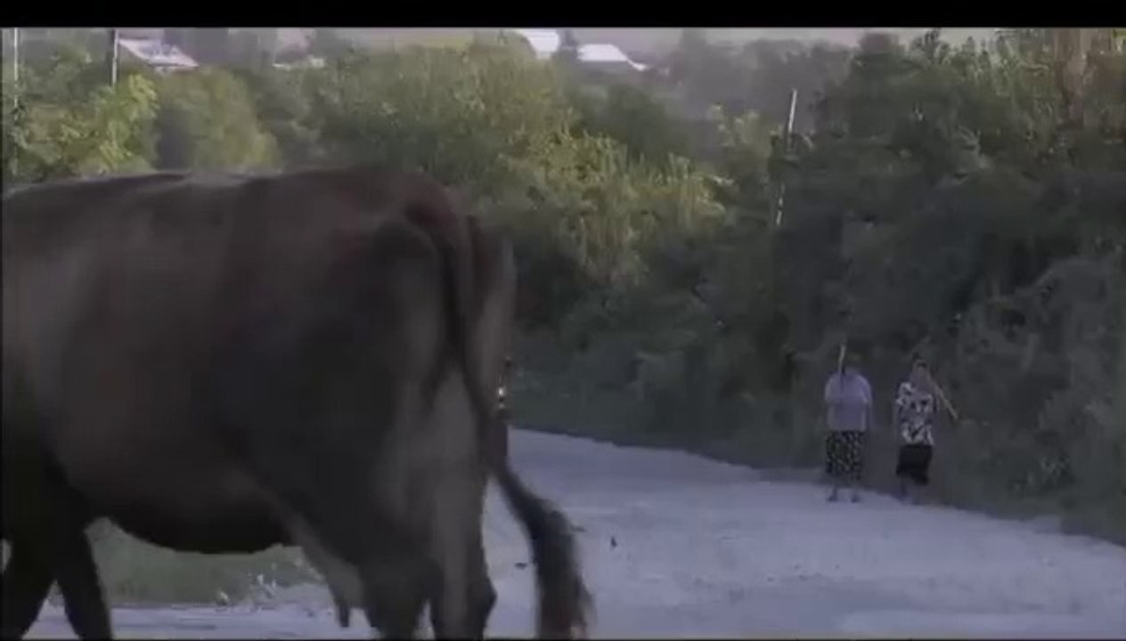 State de Romania - Episodul (010)