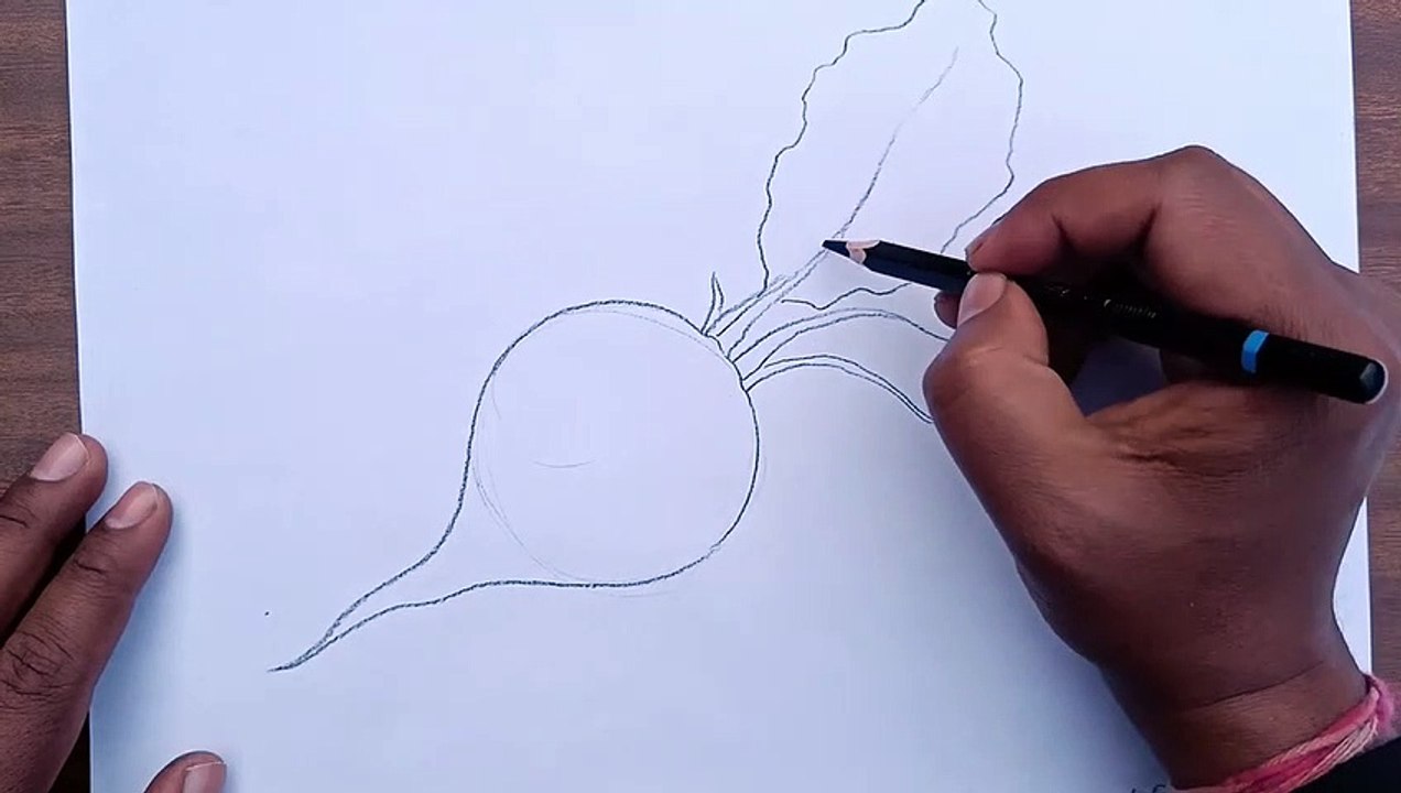 How To Draw 5 Vegetables Step By Step For Beginners