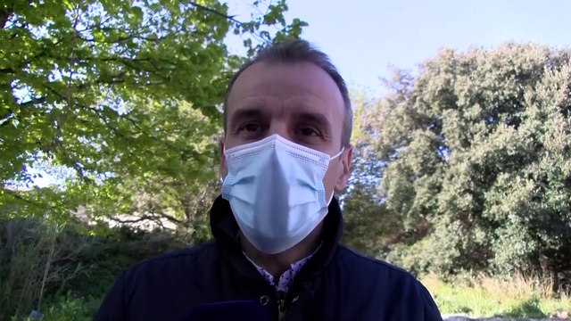 Martigues: colère des habitants de La Couronne face à l'abattage de pins