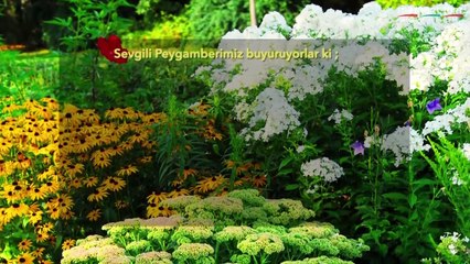 HUZURA DOGRU 20210415