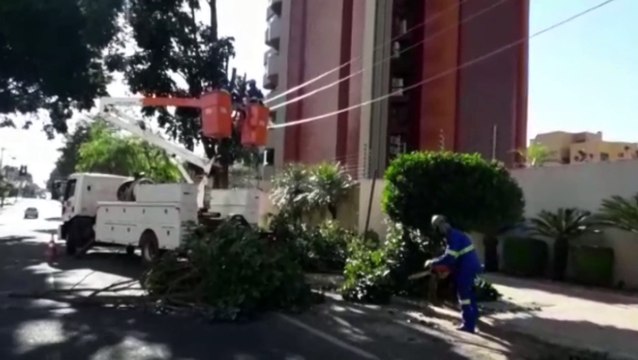 Corte de galhos de árvore provoca interdição da Rua Minas Gerais, no Centro