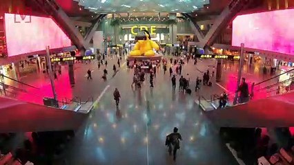 The Likelihood of Someone Trying To Board a Plane With a Gun Was Higher in 2020 Than in 2019