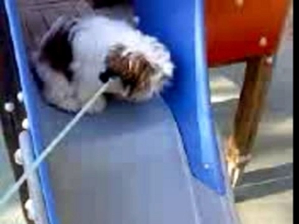 Vidéo0005