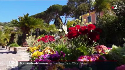 Patrimoine : plongée enchantée dans la commune fleurie de Bormes-les-Mimosas