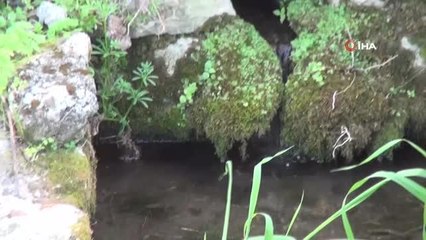 Antik dönemin suyu 2 bin 200 yıldır akıyor