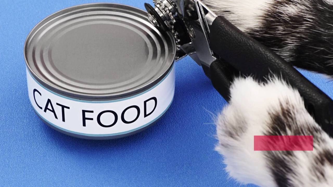 Fancy Feast Released a Cookbook So Cat Owners Can Coordinate Meals with Their Pets