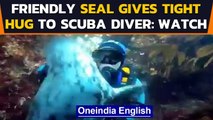 Seal gives a heartwarming hug to the scuba diver, melts hearts on the internet | Oneindia News