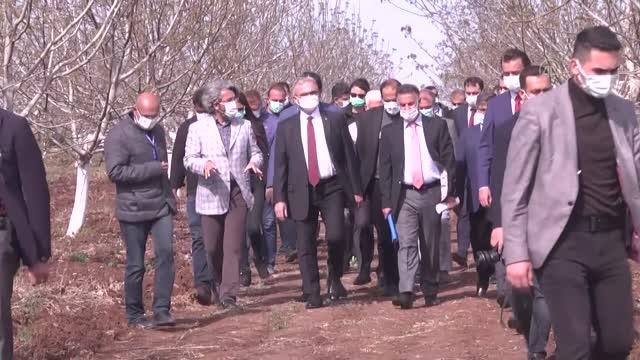 Diyarbakır'da 2023'e kadar 40 bin dönüm sert kabuklu meyve bahçesi oluşturulması hedefleniyor
