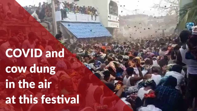 Like COVID wasn’t enough, this festival had people throwing cow dung at each other