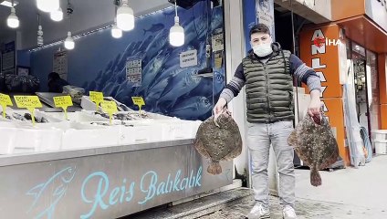 Karadeniz’de kalkan balığı bereketi: Kilosu 200 TL