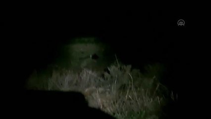 KIRIKKALE - Kamyon ve kamyonet çarpıştı: 1 ölü, 4 yaralı