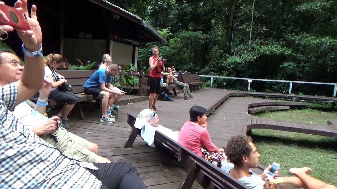 Bat exodus mulu feb 2019