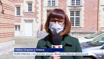 OURS MISCHA / Un premier procès devant le tribunal administratif