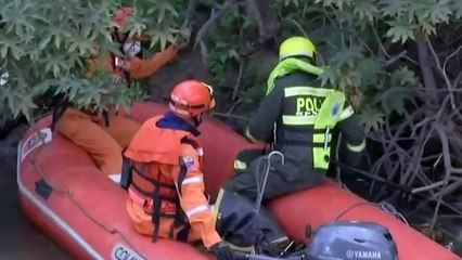 Continúa la búsqueda de Sara Sofía Galván