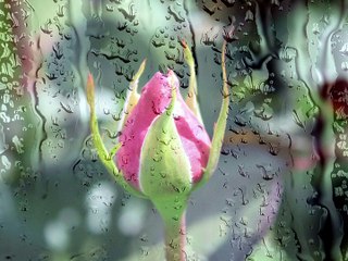 Sound of Rain on a Tin Roof | Relaxing Music Water