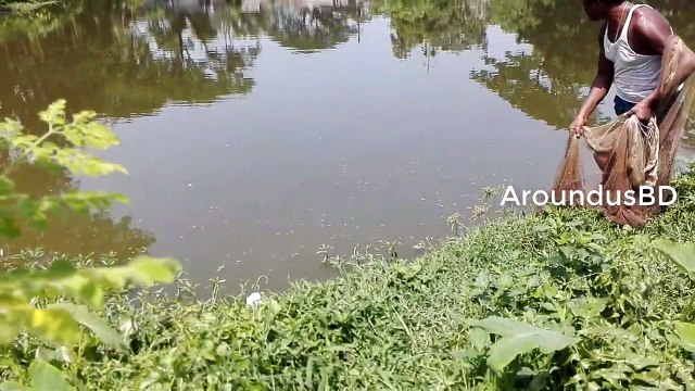 Traditional cast net fishing Fishing with beautiful nature Amazing net fishing in village
