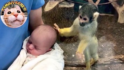 Zoo with Very Crazy and Funny Animals - Good Video