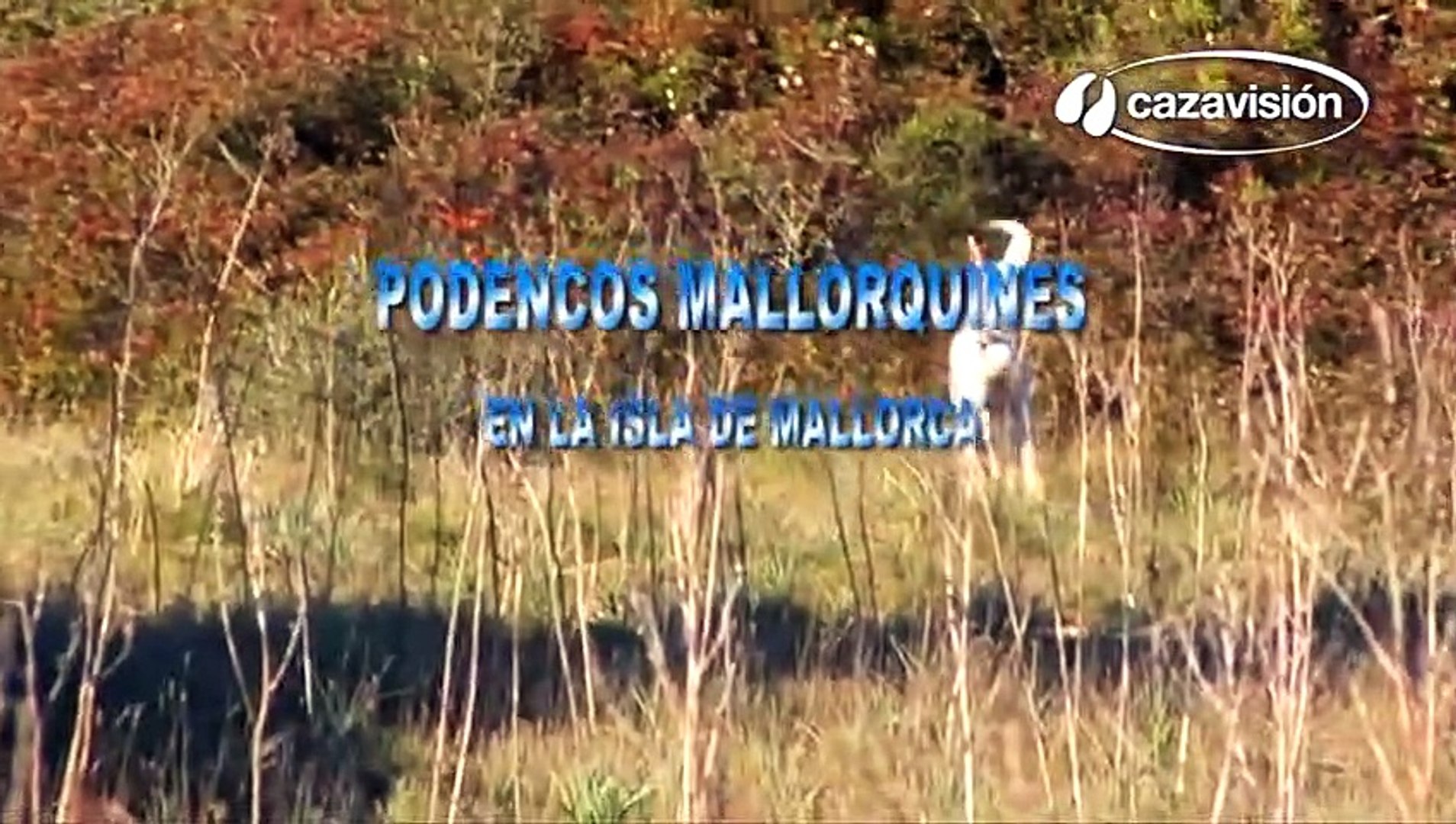 Best videos, Top videos, Viral videos Funny videos no. 109