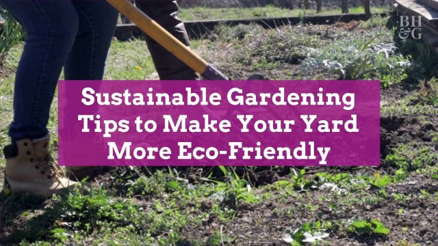 Sustainable Gardening Tips to Make Your Yard More Eco-Friendly