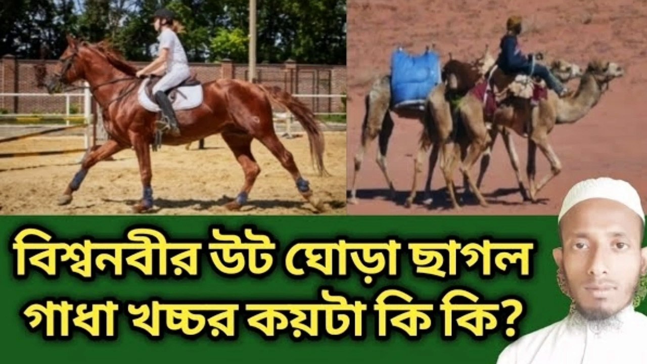 বিশ্বনবীর উড ঘোড়া গাধা ছাগল কয়টা কি কি গুরুত্বপূর্ণ আলোচনা