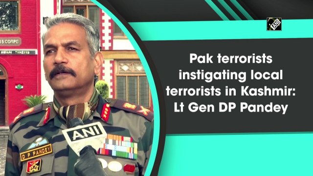 Pak terrorists instigating local terrorists in Kashmir: Lt Gen DP Pandey