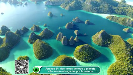 Apenas 3% das terras de todo o planeta não foram estragadas por humanos