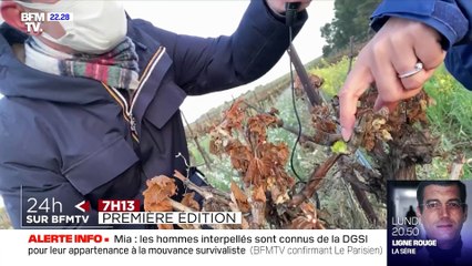 24H sur BFMTV: les images qu'il ne fallait pas rater ce jeudi - 15/04