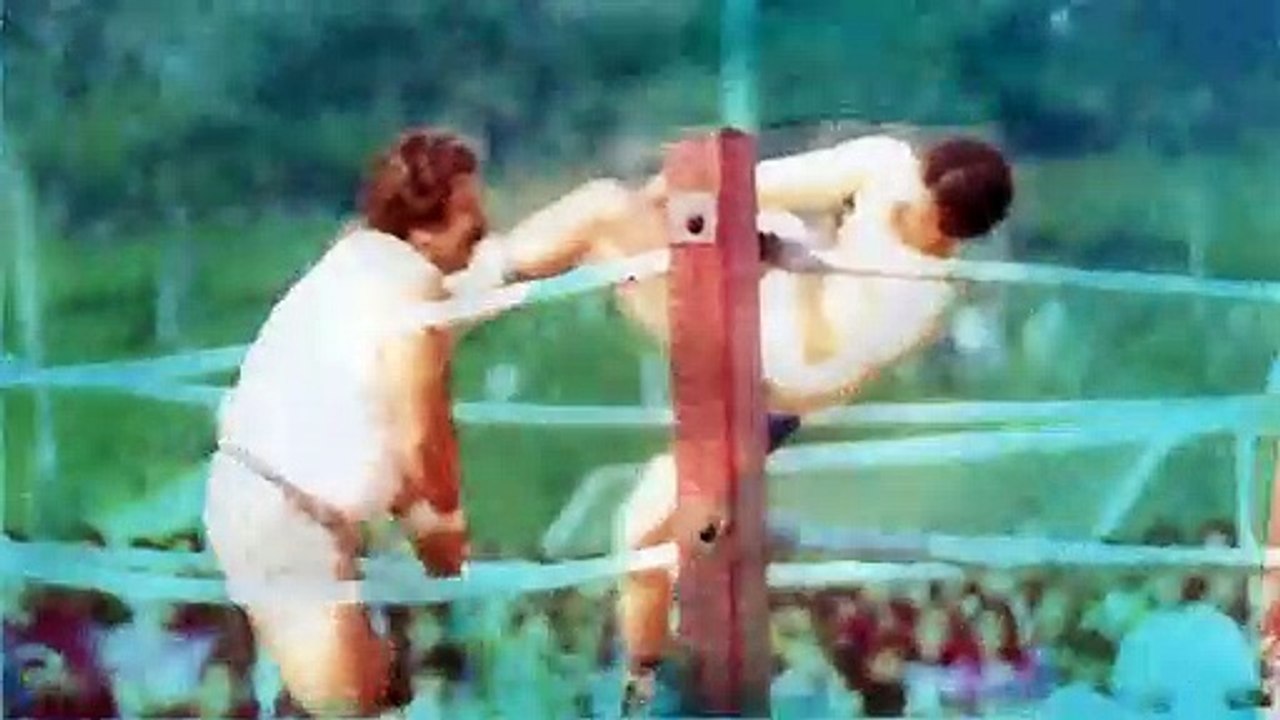 FLECHA DOURADA - TEASER/TRAILER