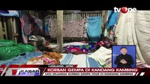 Korban Gempa, Satu Keluarga Tidur di Kandang Kambing