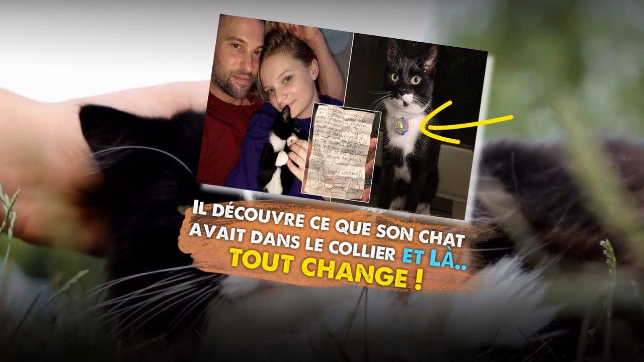 Il découvre ce que son chat avait dans le collier et là… tout change !
