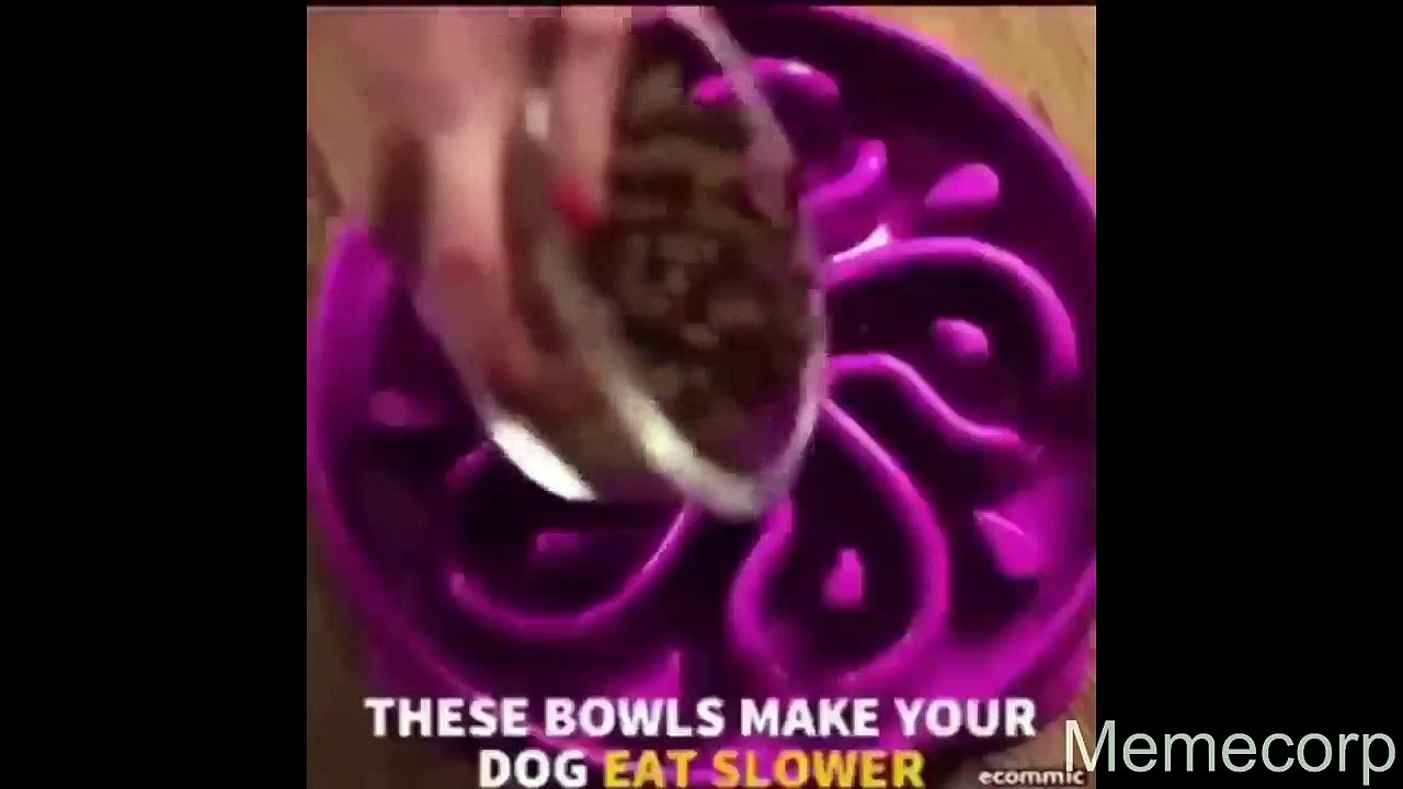 memes that i found in the microwave