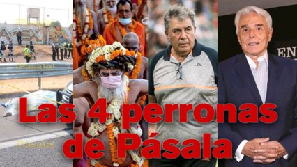 ¡AQUÍ ESTÁN LAS 4 PERRONAS DE PÁSALA!