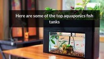 Aquaponics Fish Tanks for Sale