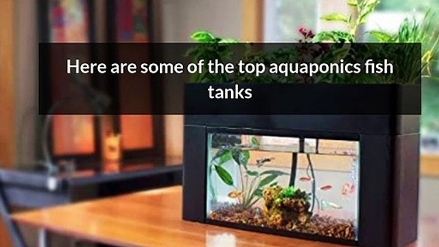 Aquaponics Fish Tanks for Sale