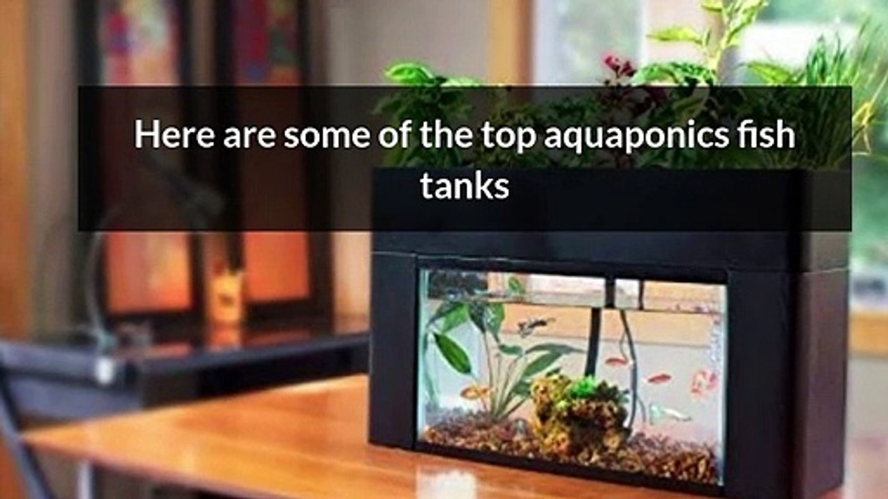 Aquaponics Fish Tanks for Sale