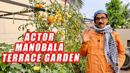 Actor Manobala-வின் அழகிய மாடித்தோட்டம்! _ Terrace Gardening