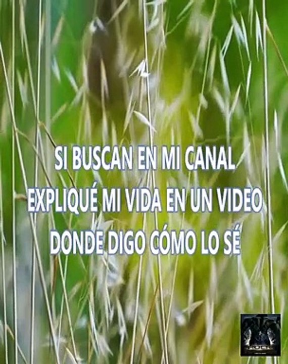 ¿QUE OCURRE ANTES DE NACER ¿ELEGIMOS NUESTRA VIDA ANTES DE NACER