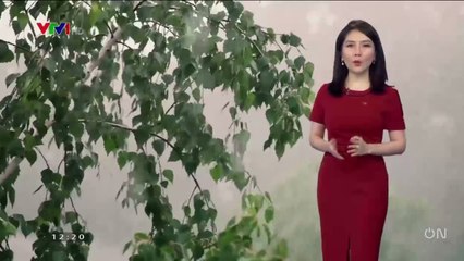 Dự báo thời tiết chiều tối nay 16/4  Bản tin dự báo thời tiết đêm nay