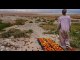 The Dead Sea is dying Drinking water is scarce Jordan faces a climate | OnTrending News