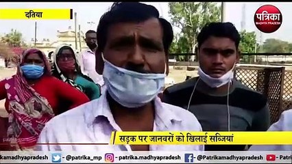 DATIYA : सब्जी विक्रेताओं ने की हड़ताल