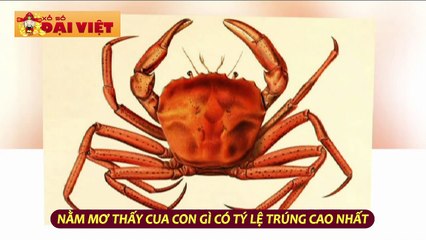 Mơ thấy cua có tỉ lệ trúng cao nhất
