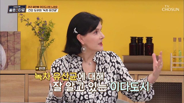 이다도시의 건강 지킴이는 ❛식물성 ○○❜ 유산균 TV CHOSUN 210416 방송