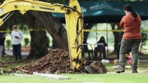 Panamá exhuma víctimas de la invasión estadounidense para identificarlas con pruebas de ADN