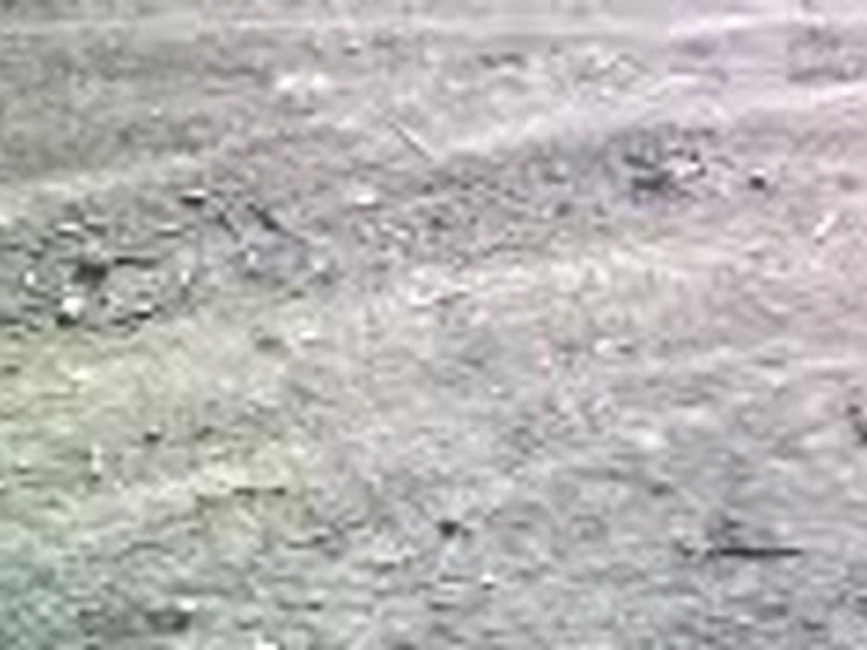 SV_A0232