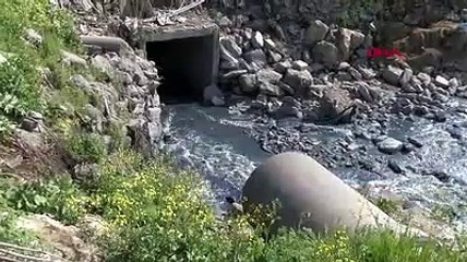 Eseyurt'ta haramidere yine mavi aktı