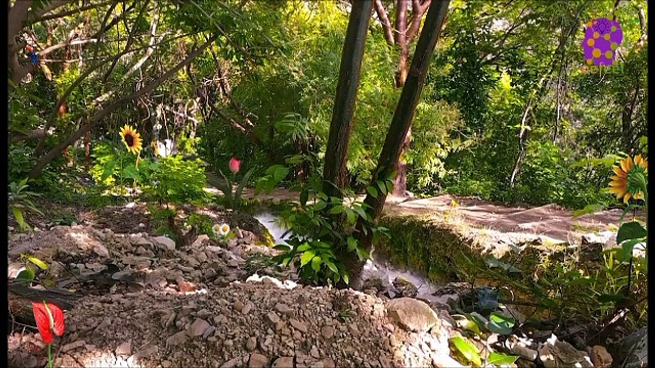 15 Minute Positive Energy Music for Relaxation | Healing | Calming |  Beautiful | Peaceful | Nature  | Nice | Serene | Peaceful | Study | Sleep