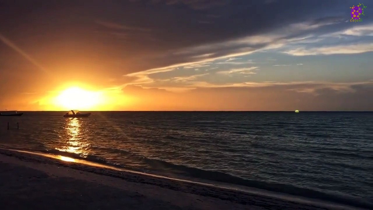 15 Minute Calming Music for Study | Calming |  Beautiful | Peaceful | Nature  | Sleep | Stress Relief | Anxiety Relief | Self-love | Positive Energy