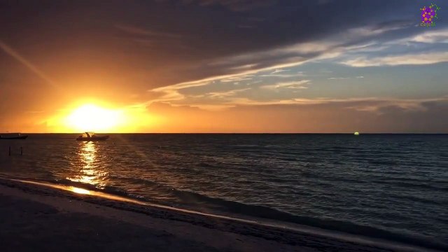 15 Minute Calming Music for Study | Calming | Beautiful | Peaceful | Nature | Sleep | Stress Relief | Anxiety Relief | Self-love | Positive Energy