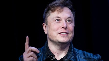 Elon Musk Ingin Hidupkan Lagi Dinosaurus