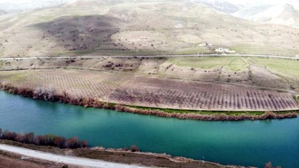 Mevsimlik işçilerin ağaç budama mesaisi